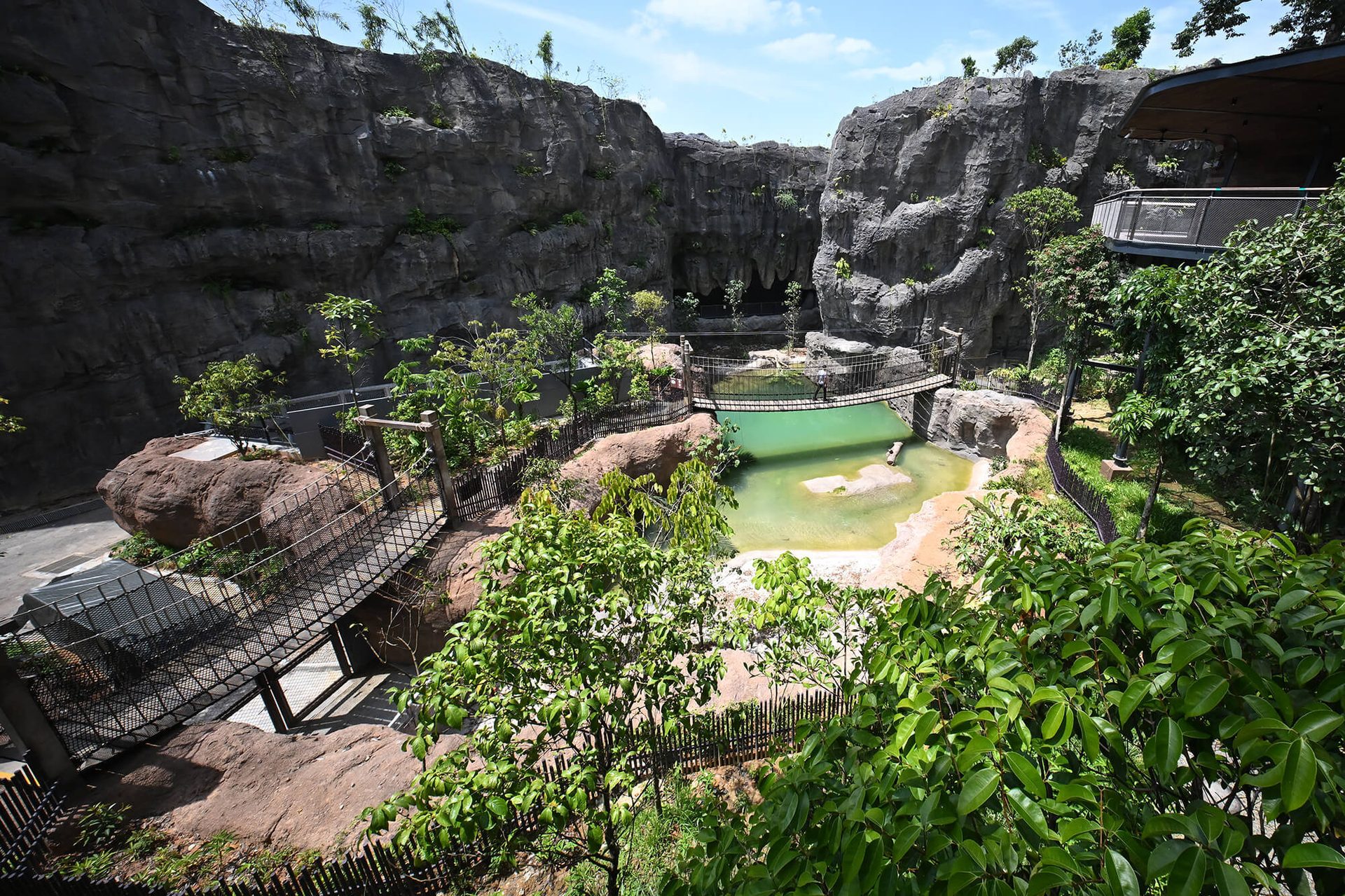 A large zoo exhibit with high rock walls, green water, two rope bridges, and dense foliage.